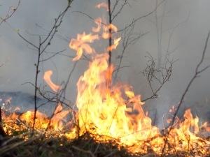 Покупку техники для тушения пожаров спонсирует федеральный бюджет