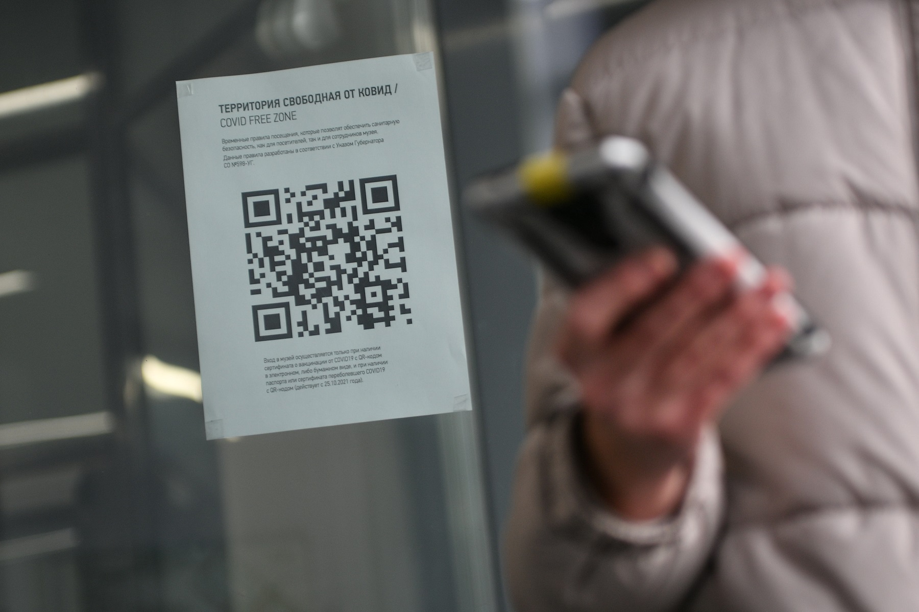 QR-код: красавица получила просроченный сертификат - KP.RU